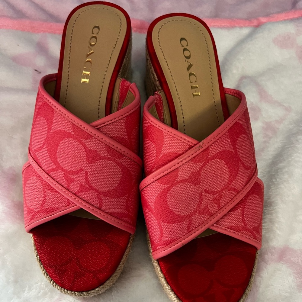 authentic coach slides